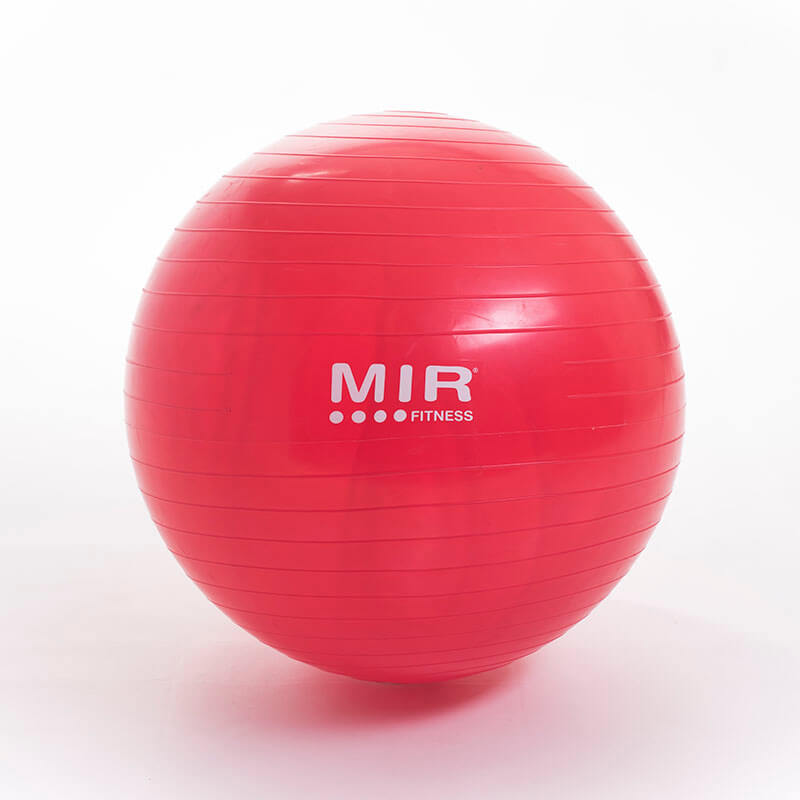 Pelota Esferodinamia De 55  Cm. Marca Mir