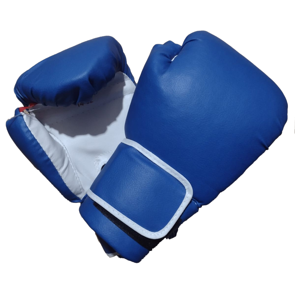 Guante De Box  -- 10 Oz  -generico -eco - Con Abrojo