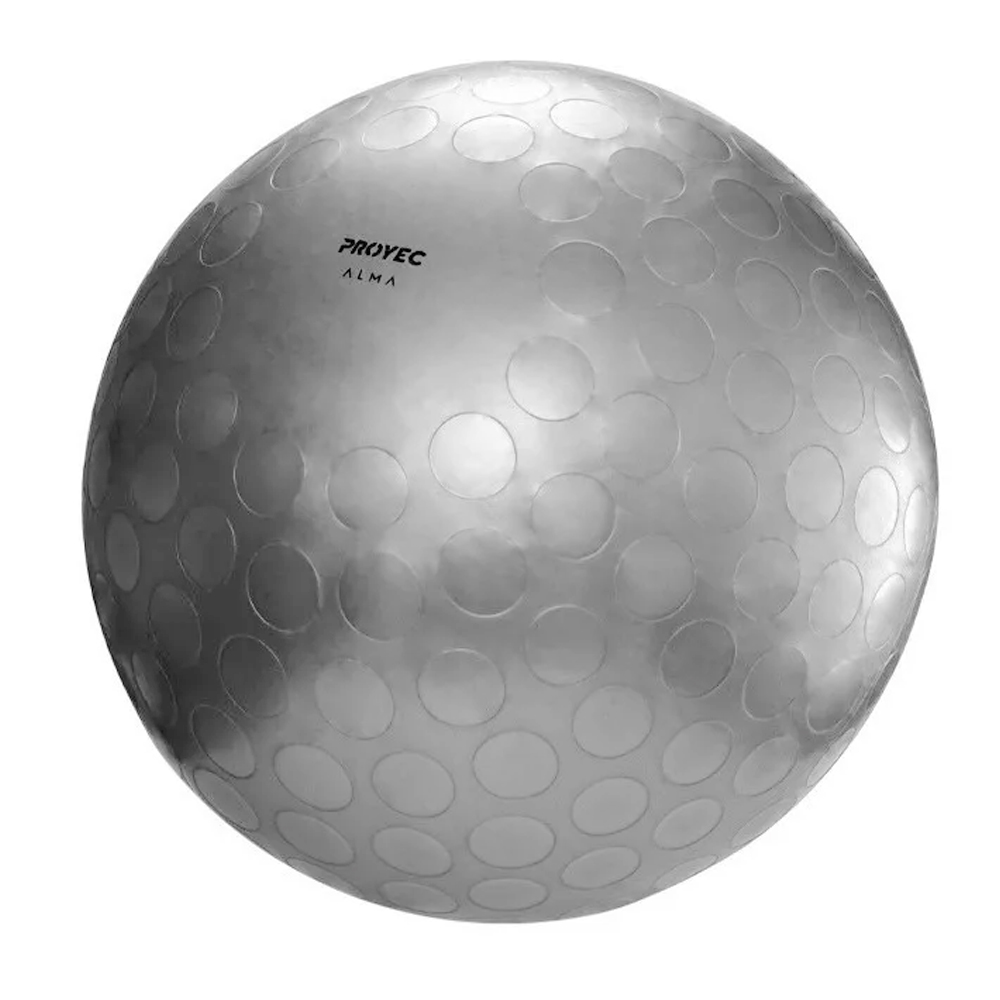 Pelota De Esferodinamia 85 Cm Proyec Alma Gris